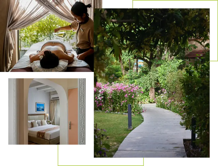 A Full-Circle Approach to Wellness