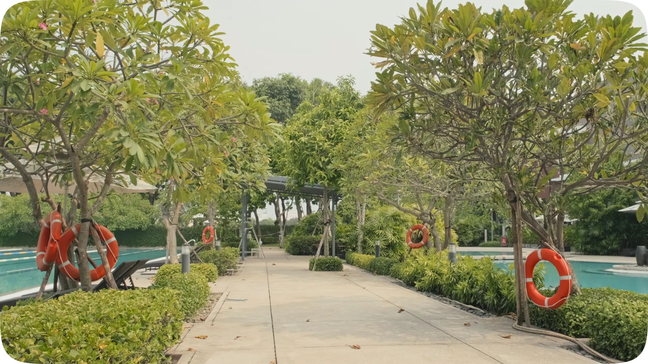 wellness itinerary day three poster