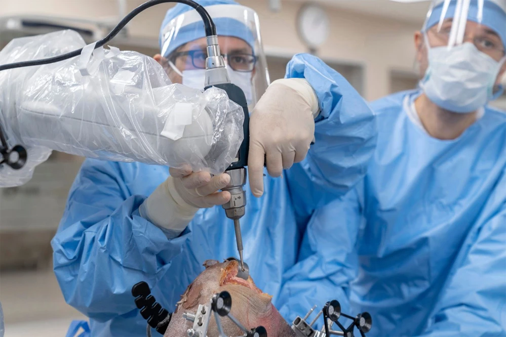 robotic knee replacement surgery
